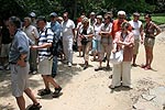 Reisegruppe im botanischen Garten