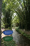 Monkey Fluss im botanischen Garten