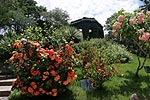 im botanischen Garten von Rio