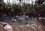 Sven and I at the thermal springs of Mataranka