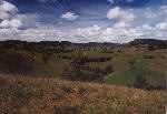 landscape of the Barrington Top National Park