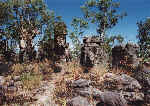 Sandstones in "Lost City" in the Litchfield National Park