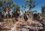 Sandsteinformationen in der "Lost City" im Litchfield National Park