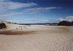 beach in Wilsons Promontory National Park