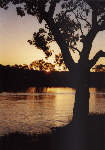 Sonnenuntergang am Murray River