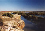 dreamlike landscape at the Murray River