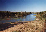 dreamlike landscape at the Murray River