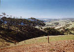 bei Cape Border auf Kangaroo Island