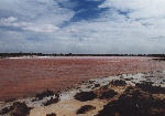 on the way to outback: the Pink Lake near Port Augusta